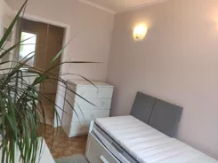 826669 - zdjęcie nr 3