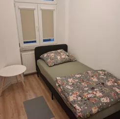 837583 - zdjęcie nr 2