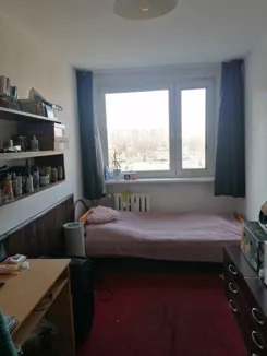 837521 - zdjęcie nr 3