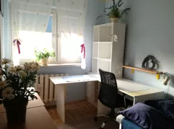 836696 - zdjęcie nr 0