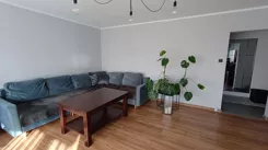 837784 - zdjęcie nr 2