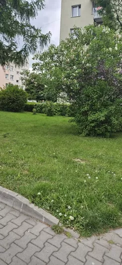 836401 - zdjęcie nr 0