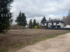 BLN737570 - zdjęcie nr 4