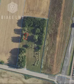 BLN782431 - zdjęcie nr 0