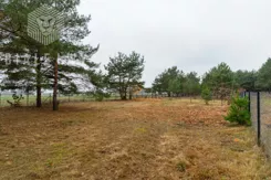 BLN976721 - zdjęcie nr 0