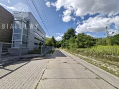BLN239881 - zdjęcie nr 3