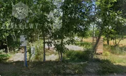 BLN637271 - zdjęcie nr 2