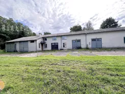 BLN769350 - zdjęcie nr 0