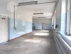 BLN769350 - zdjęcie nr 2
