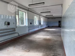 BLN769350 - zdjęcie nr 3