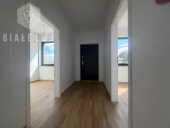 BLN850097 - zdjęcie nr 2