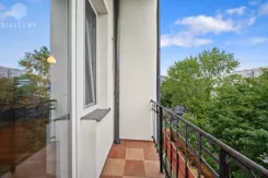 BLN792794 - zdjęcie nr 2