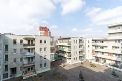 BLN703332 - zdjęcie nr 0