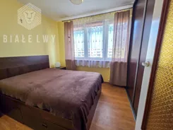 BLN636665 - zdjęcie nr 3