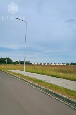 BLN514337 - zdjęcie nr 2