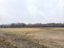 385/7393/OGS - zdjęcie nr 3
