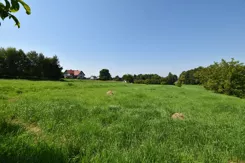 376/7393/OGS - zdjęcie nr 4