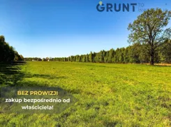10000200 - zdjęcie nr 4