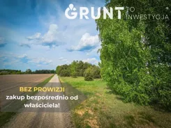 10480200 - zdjęcie nr 5