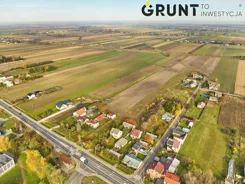 11590200 - zdjęcie nr 3