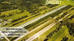 8190200 - zdjęcie nr 2