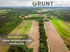 10540200 - zdjęcie nr 3
