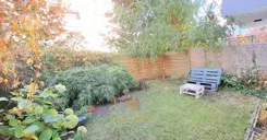 298 - zdjęcie nr 1