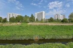 290 - zdjęcie nr 0