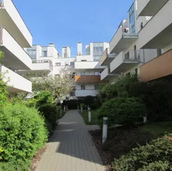 295 - zdjęcie nr 1