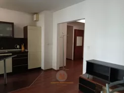 293 - zdjęcie nr 2