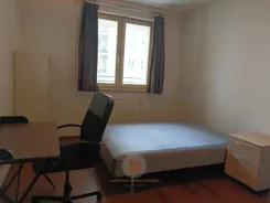293 - zdjęcie nr 4