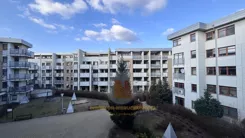 269 - zdjęcie nr 0