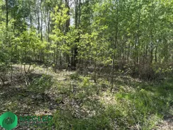 301/9507/OGS - zdjęcie nr 0