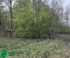 197/9507/OGS - zdjęcie nr 1