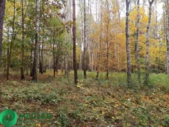 101/9507/OGS - zdjęcie nr 1