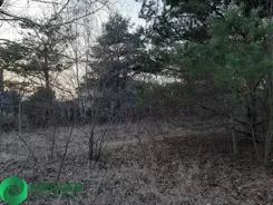 237/9507/OGS - zdjęcie nr 0