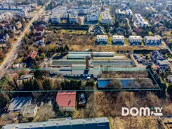 588365 - zdjęcie nr 2