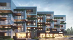 Tecto - zdjęcie nr 2