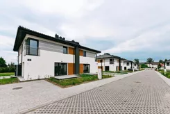 Zielone Kolumny - zdjęcie nr 1