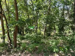 TB#360134093 - zdjęcie nr 1