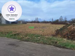 TB#781892675 - zdjęcie nr 3
