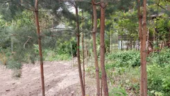 TB#305655541 - zdjęcie nr 4