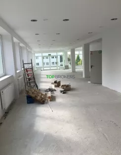 TB#596916992 - zdjęcie nr 2
