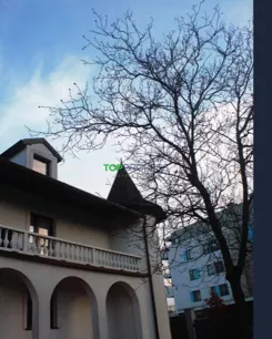 TB#205161 - zdjęcie nr 4