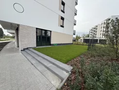 TB#514988 - zdjęcie nr 3