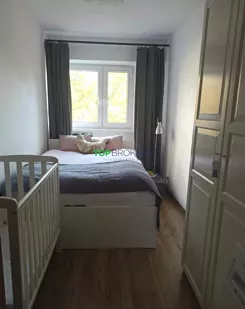 TB#448273 - zdjęcie nr 2