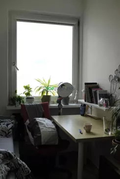 TB#203513 - zdjęcie nr 1