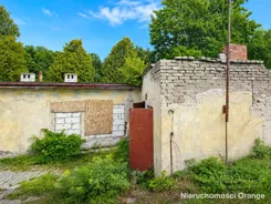 T03682 - zdjęcie nr 2