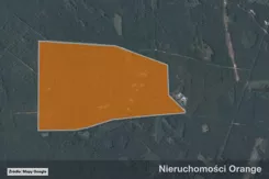 T10566 - zdjęcie nr 1