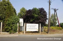 T00666 - zdjęcie nr 0